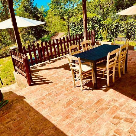 Ciliegia Di Lari - Attico Villa Екстериор снимка
