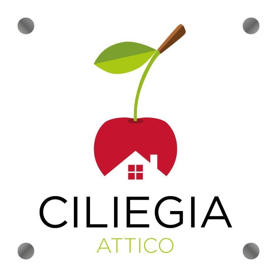 Ciliegia Di Lari - Attico Villa Екстериор снимка