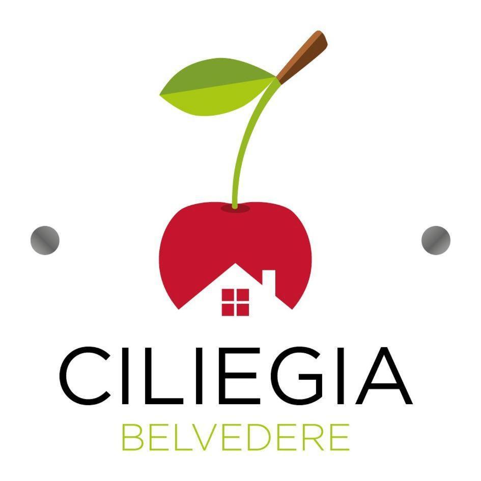 Ciliegia Di Lari - Attico Villa Екстериор снимка