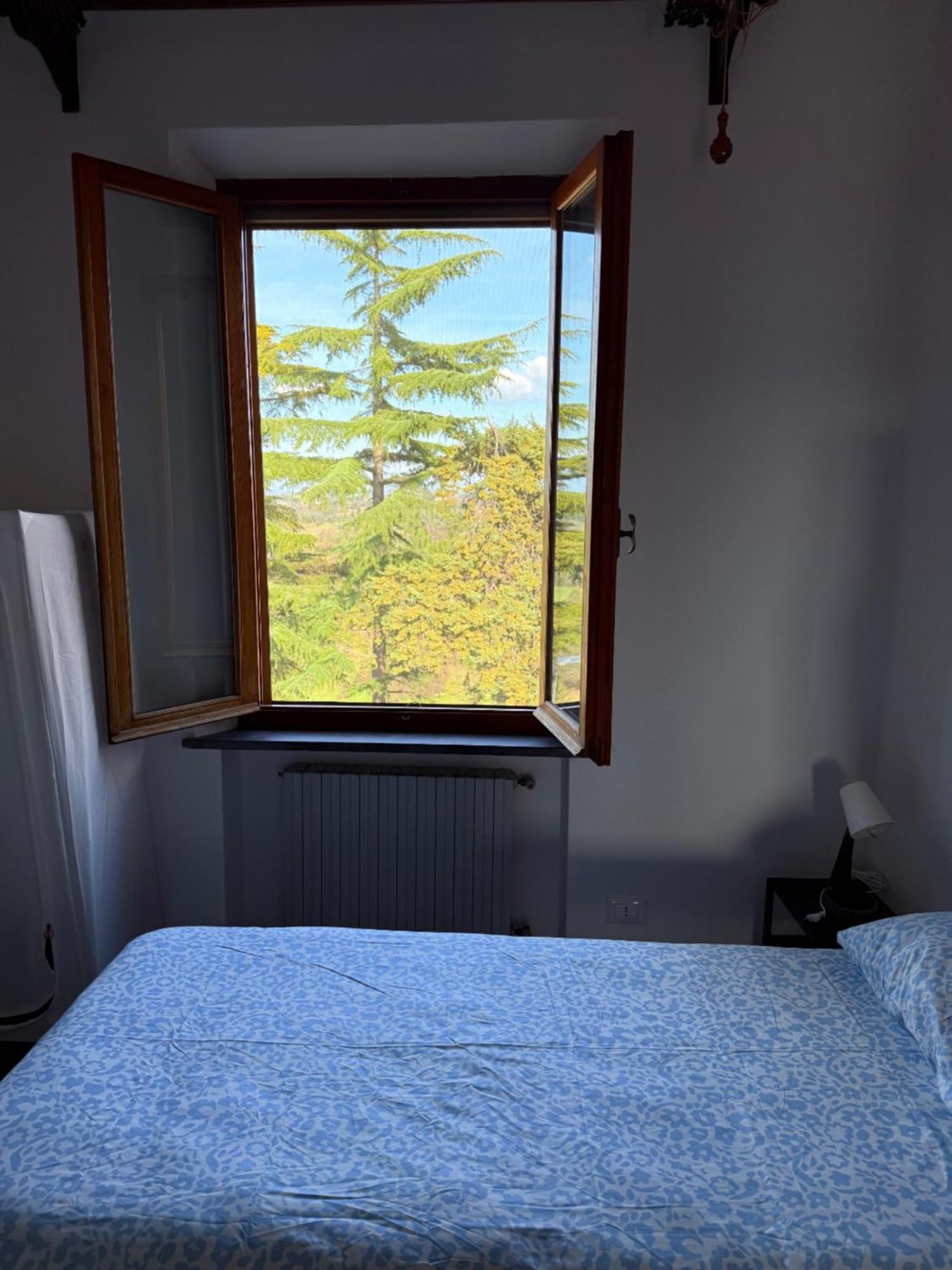 Ciliegia Di Lari - Attico Villa Екстериор снимка